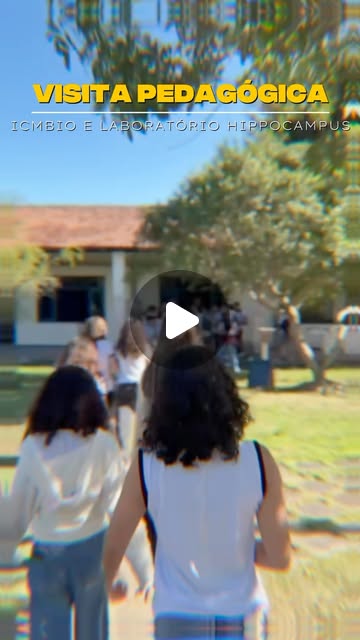 Alunos do 8º ano visitam o ICMBio e o Laboratório Hippocampus